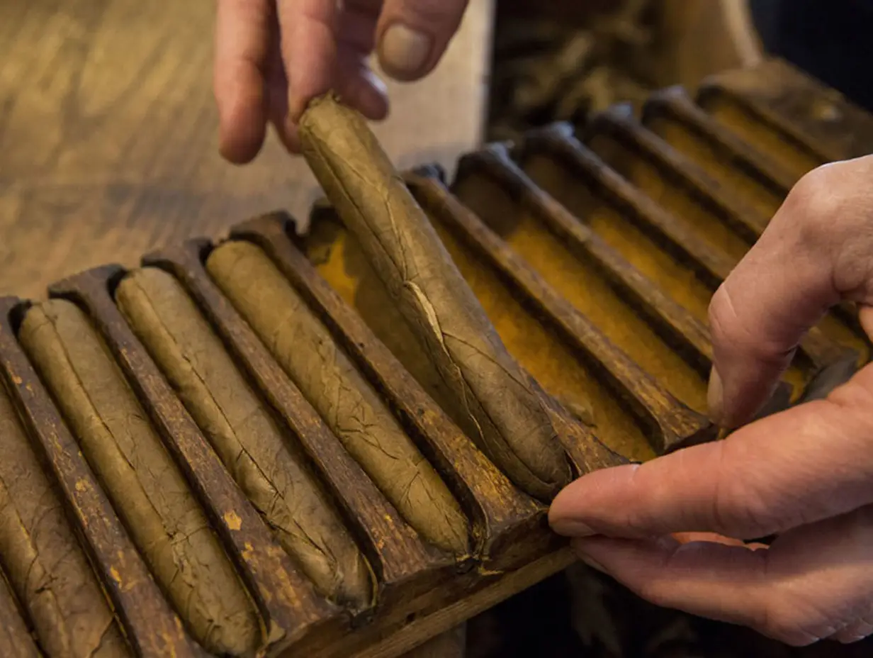 Deutsche, handgerollte Zigarren aus dem Schwarzwald
